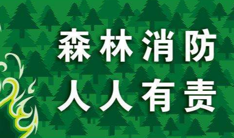漫畫：關(guān)于森林防火   這些知識你應該知道