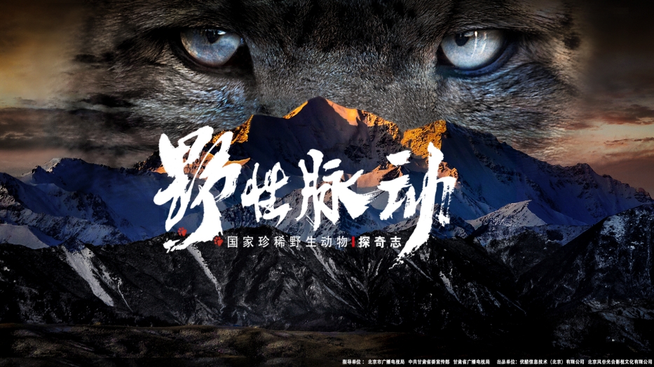 野性脈動(dòng)——國(guó)家珍稀野生動(dòng)物探奇志
