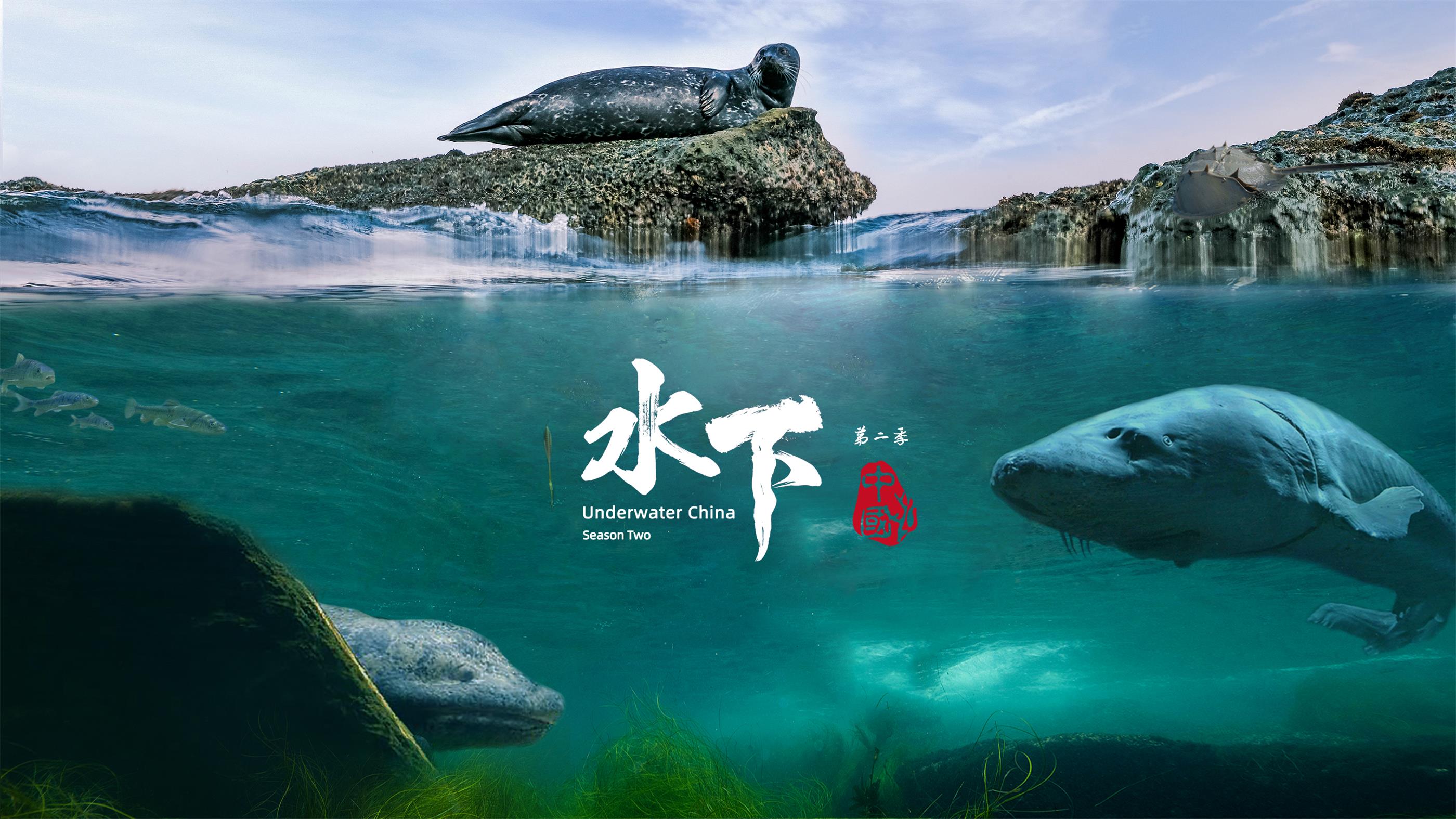 水下中國(guó)（第二季）