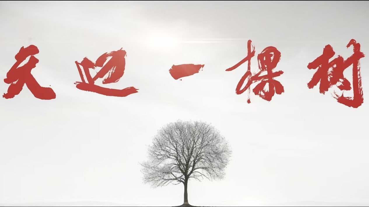 天邊一棵樹