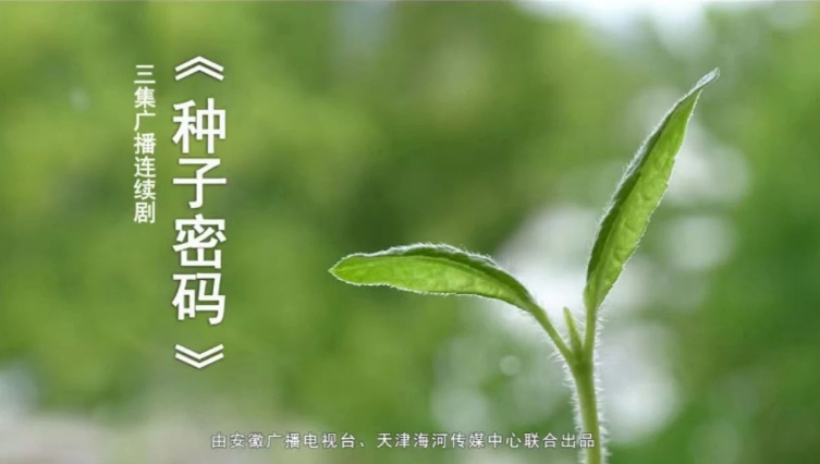 種子密碼